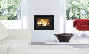 wood-burning fireplace insert