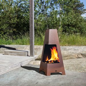 wood-burning fireplace