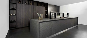 contemporary kitchen