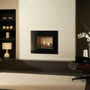 gas fireplace insert 1