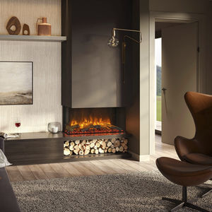 3-sided fireplace insert