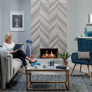 gas fireplace insert