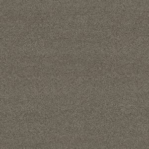 cut pile carpet 1