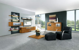 contemporary TV wall unit