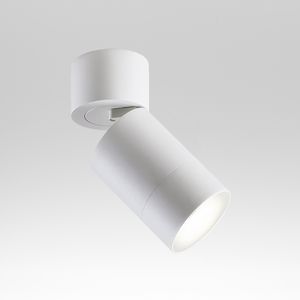 ceiling-mounted spotlight