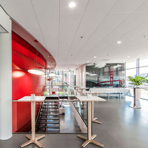 stone wool suspended ceiling