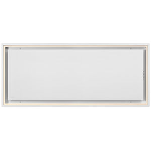 ceiling-mounted range hood
