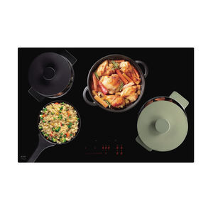 induction cooktop 1