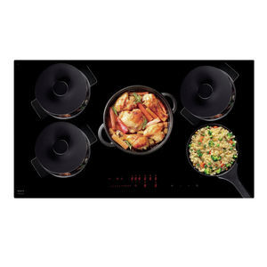 induction cooktop 1