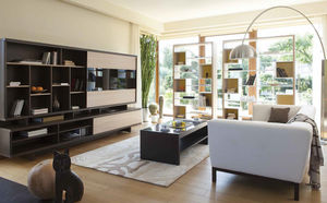 contemporary living room wall unit
