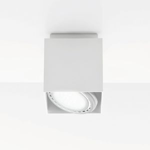 surface mounted downlight