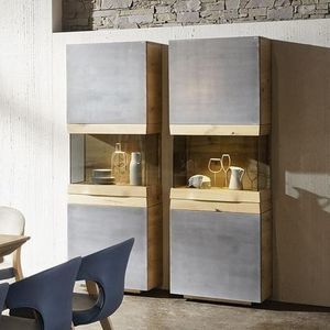 contemporary display case