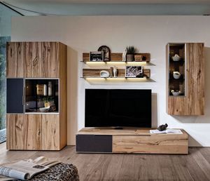 contemporary TV wall unit