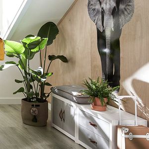 bench cushion