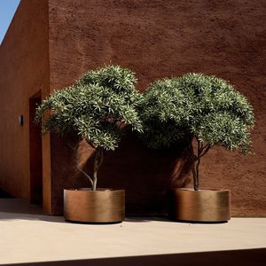 brass planter