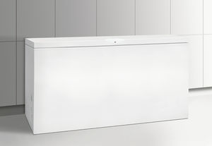 chest freezer / white