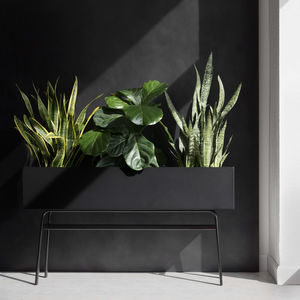 concrete planter