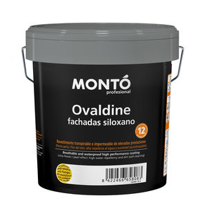 protective paint 1