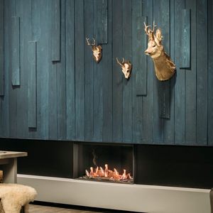 closed gas hearth