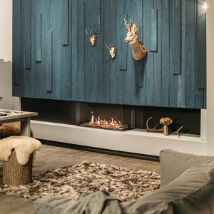 closed gas hearth / double-sided / steel