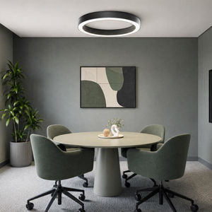 contemporary ceiling light 1