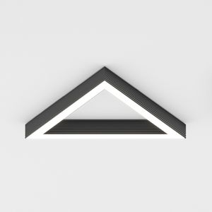 surface-mounted light fixture 1