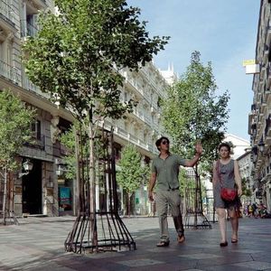 galvanized steel tree guard