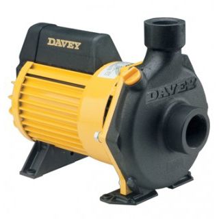 Swimming pool pump - DYNAFLO® : 62001 - DAVEY