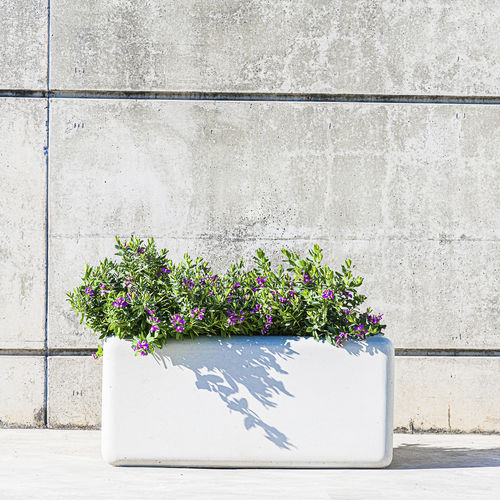 Fiber-reinforced concrete planter - SOFTSHAPES : 523 - SIT Urban Design - rectangular / contemporary / for public space