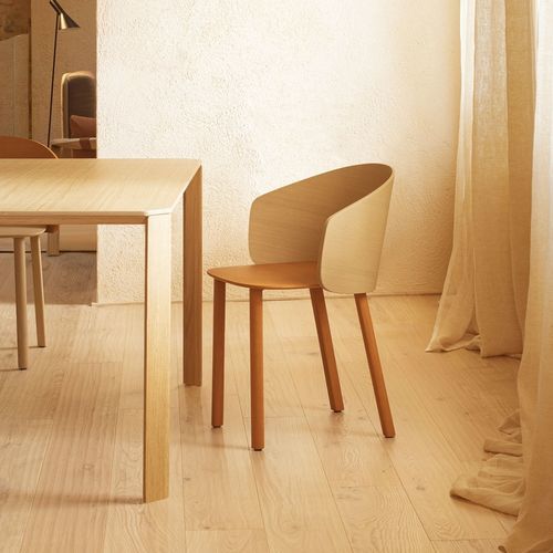 Contemporary chair - NOT  - True Design srl - indoor / wooden / oak