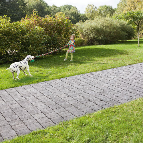 Concrete paver - HYDRA - ALKERN - outdoor / aged / pedestrian