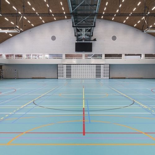 Indoor sports flooring - LUMAFLEX EVOLUTION LINOSPORT XF²  - Tarkett Sports Indoor - linoleum / for school / for sports activities