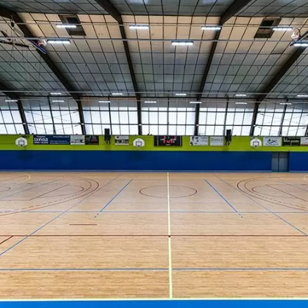 Indoor sports flooring - LUMAFLEX ENERGY OMNISPORTS REFERENCE MULTI-USE - Tarkett Sports Indoor - wooden / vinyl / for multipurpose gym