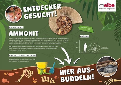 Outdoor information panel - AMMONIT - eibe Produktion + Vertrieb GmbH & Co KG - for public space / for playground