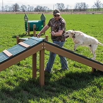 Dog obstacle course - HILLTOP CHALLENGE - progressive design ...
