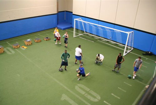 Synthetic grass - SPORTURF - No Fault - multifunctional / for sports fields