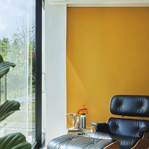 Decorative paint - DUTCH - Farrow & Ball - finish / exterior / living room