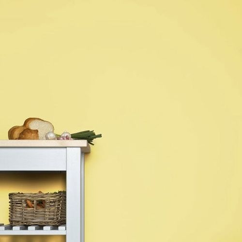 Decorative paint - HOUND LEMON - Farrow & Ball - finish / interior / exterior