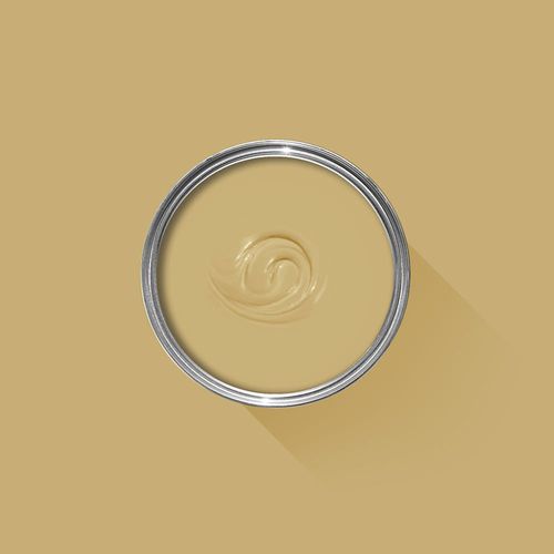 Decorative paint - OCTAGON - Farrow & Ball - finish / kitchen / exterior