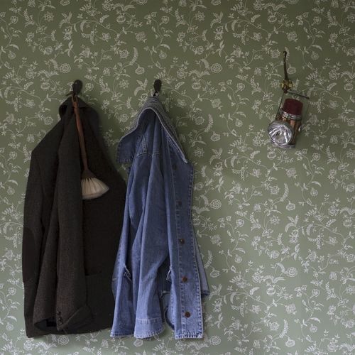 Contemporary wallpaper - UPPARK series - Farrow & Ball - floral / red / blue