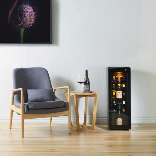 electric wine cabinet