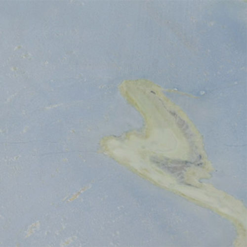 Marble stone slab - AZUL CIELO - Decolores Marmores e Granitos do Brasil Ltda. - for floor / for interior / wall-mounted