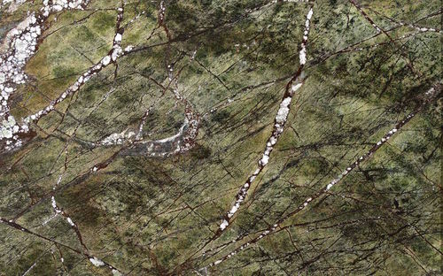 Marble flooring - PICASSO GREEN - Margraf SpA - tile / brushed / polished