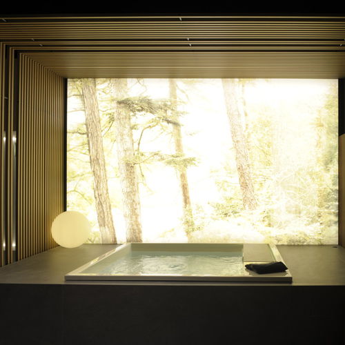 Professional bathtub - WATERDREAM - EFFEGIBI - concrete / white