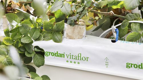 Planting bag - VITAFLOR - GRODAN