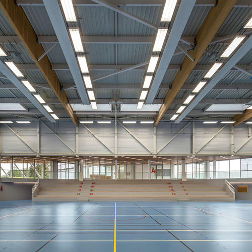 Indoor sports flooring - OMNISPORTS PUREPLAY - Tarkett PROFESSIONAL - foam / vinyl / commercial