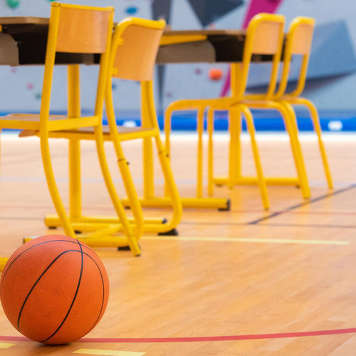 Indoor sports flooring - OMNISPORTS REFERENCE - Tarkett PROFESSIONAL - vinyl / commercial / scratch resistant