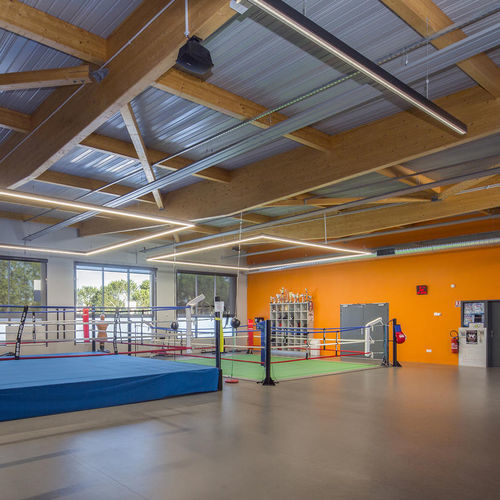 Indoor sports flooring - OMNISPORTS TRAINING - Tarkett PROFESSIONAL - vinyl / for leisure activities / durable