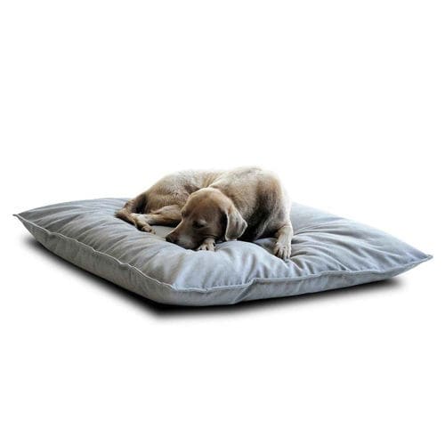 Pet dogs and cats cushion - DIVAN UNO  - pet.interiors - square / rectangular / round