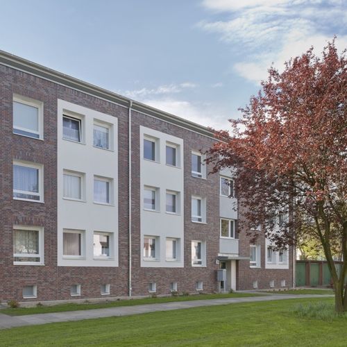 Clinker cladding brick - CARBONA - Feldhaus Klinker - brickwork / clay / for facade